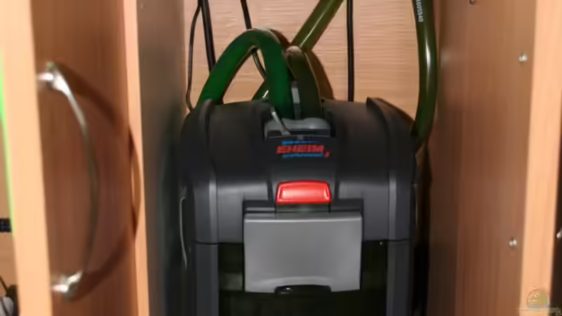 Der Filter von Thomas Brandt (11)