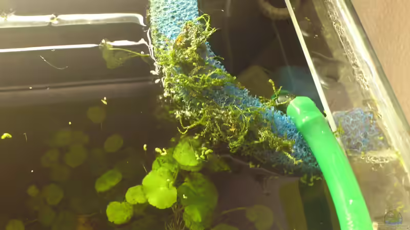 der Filter vor dem Umbau von Markus J. (18)