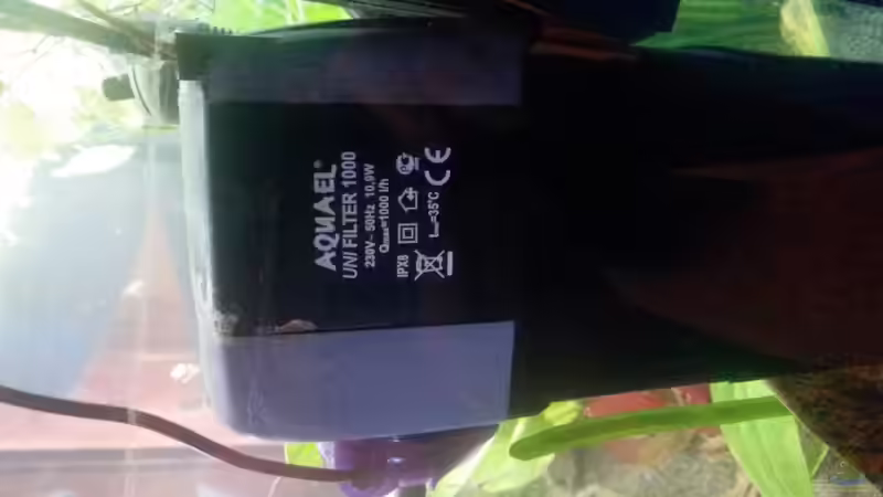 der Filter war dabei  von Ceylon (52)