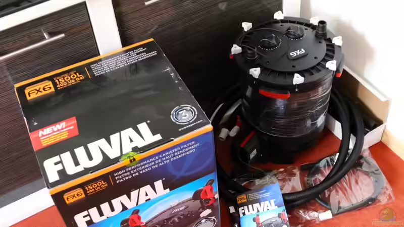 der Fluval FX 6 von Cruiser Bruno (62)