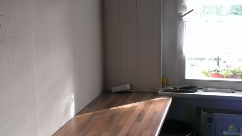 Der freigeräumte Standplatz. von raubsau (36)