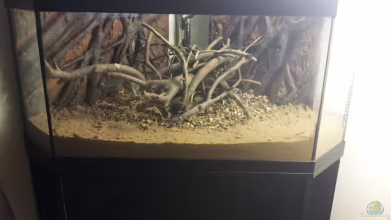 Der Fugensand dazu von Michael Scheffler (4)