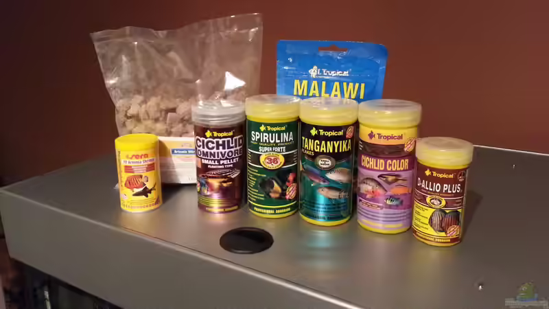 Der Futtermix von Tropical wird abwechselnd dargereicht! :-)) von ~MISCHA WILKEN~ (29)