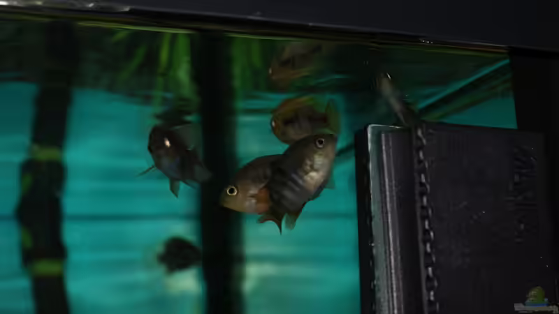 der ganze trupp von Bastian & Sandra (20)