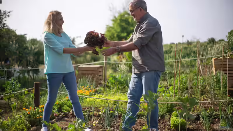 Der Garten als Hobby: Ein umfassender Blick auf Zahlen, Trends und Entwicklungen