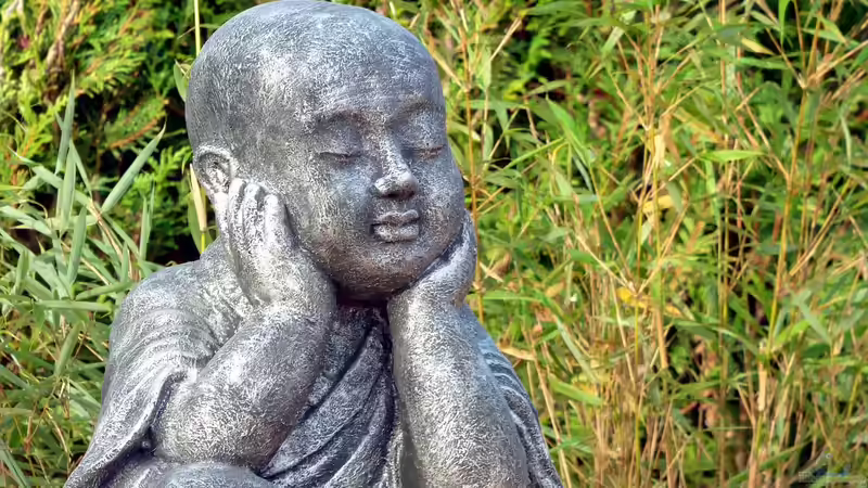 Der Garten als Meditations-Ort: Ein Rückzugsort für Körper und Seele