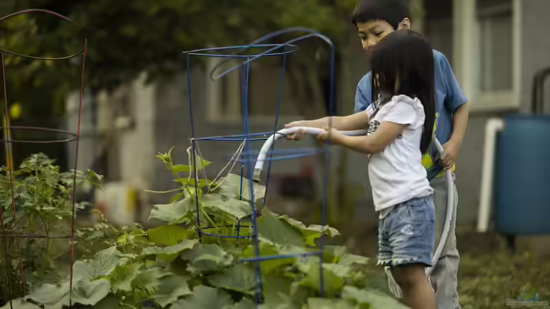 Der Gartenbauverein: Lohnt sich der Beitritt für Hobbygärtner?