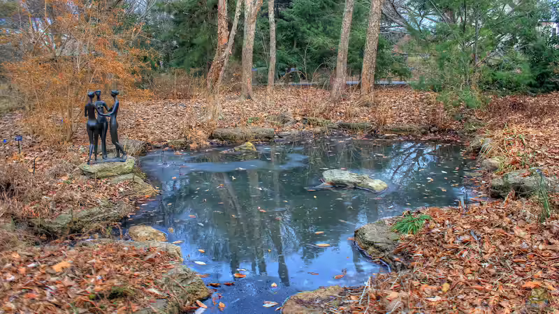 Der Gartenteich im Frühling - Was ist zu tun?