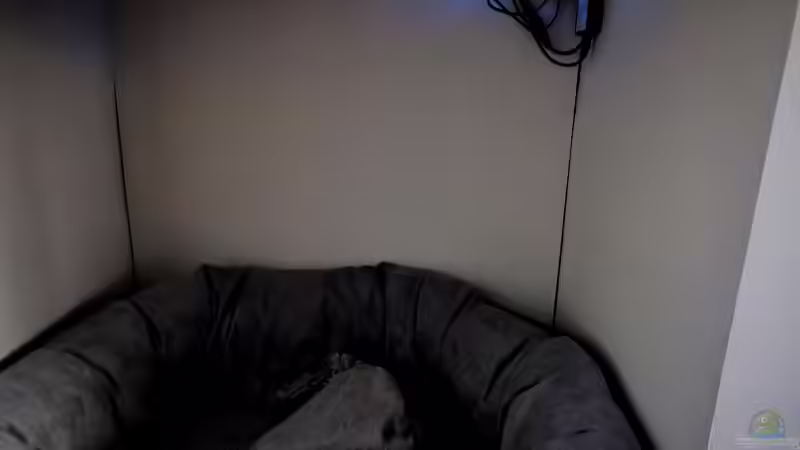 Der gesamte Technikbereich von RalfB (31)