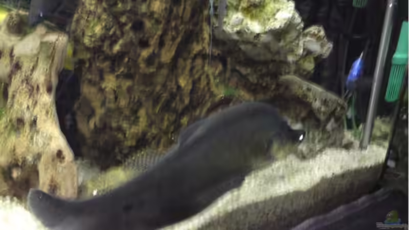 Der große Brocken von Dominik Bögershausen (6)