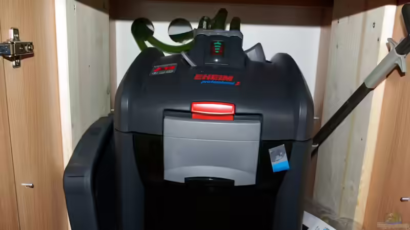 Der große Dicke von Jens Beier (8)