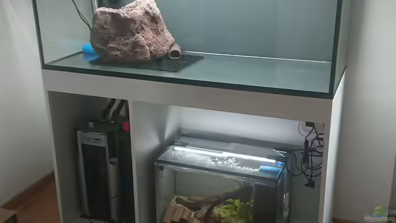 Der grosse Lava-Stein sowie die Strömungspumpen und Wels-Höhlen platziert von Philip (3)