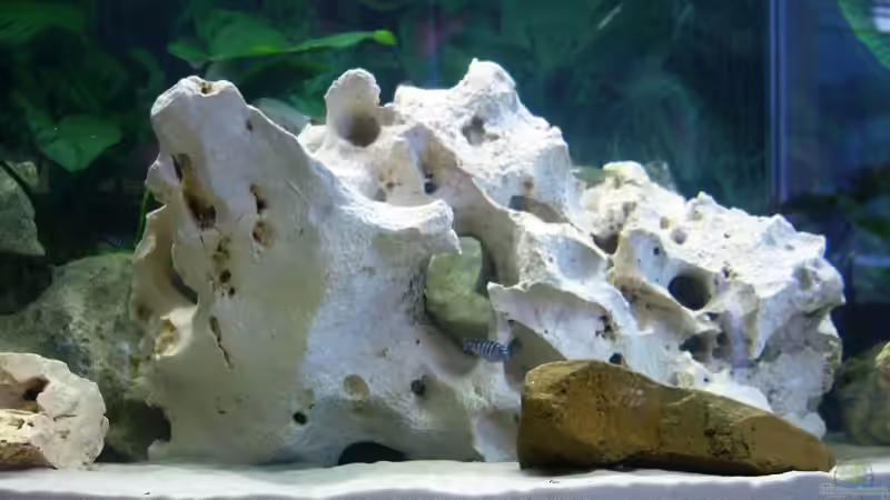 Der Grosse Stein von 47 Malawi (7)