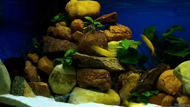 Der große Steinaufbau von Hr.Lampe (14)