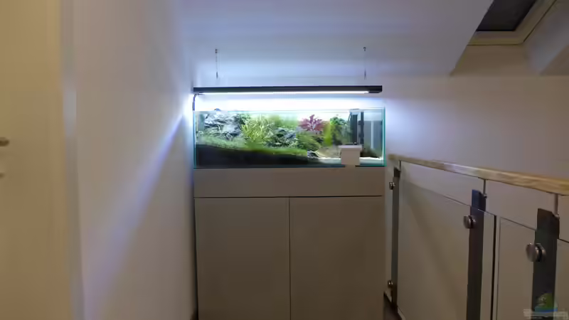 Der Grund für den Titel des Aquariums. Das Aquarium befindet sich im zweiten Stock der Treppengalerie von Dreadnought (2)