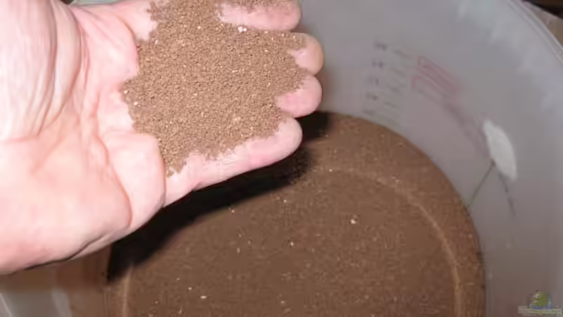 Der Grund sieht wirklich gut aus... von pekro (10)