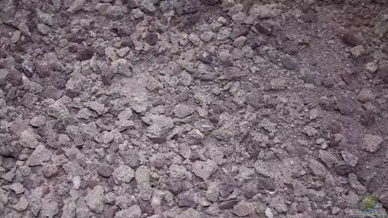 Der Grundstein ist gelegt