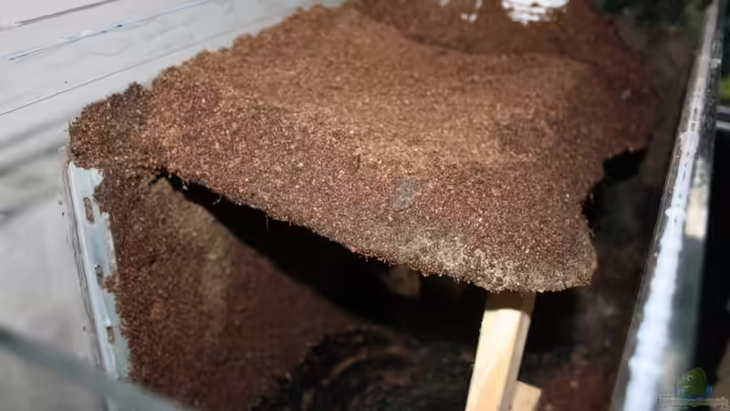 Der Grundstein ist gelegt