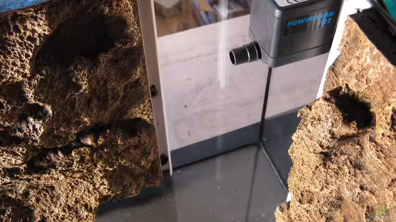 Der gute alte Powerhead... Ich hoffe, dass ich ihn soweit gedrosselt bekomme, dass die Strömung nicht zu heftig wird. Sonst muss ich eine Alternative finden. von pekro (16)