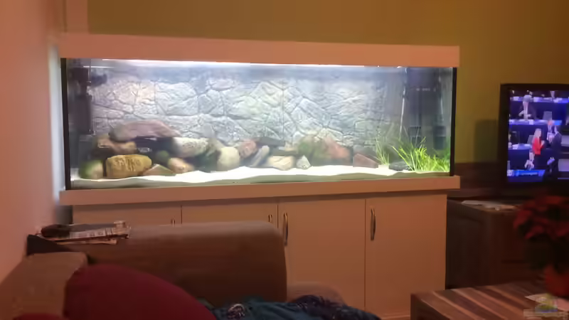 Der halbe Weg geschafft. von delphin (4)