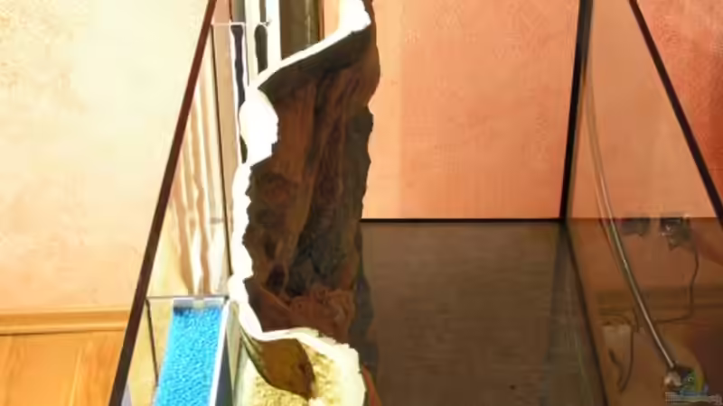 Der Hamburgerflter (Kammer hinten noch ohne Filtermatte) von Werner Wittwer (17)