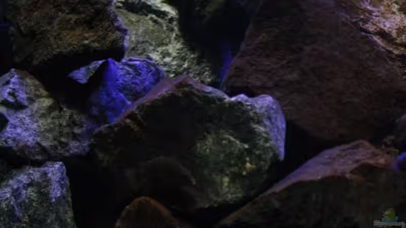 Der Hang,hier fängt er an ! von Florian Bandhauer (15)