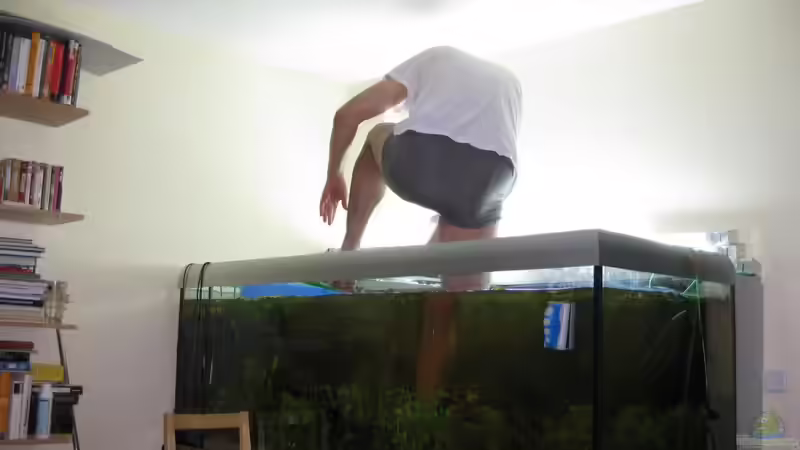 Der Hardcore-Aquarianer pfanzt. von Rheinländer (30)