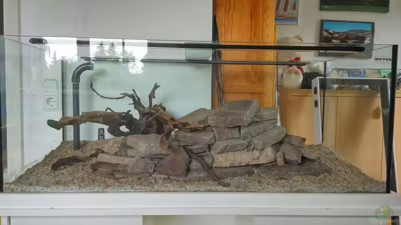 Der Hardscape von Jonas (Trancemania) (8)