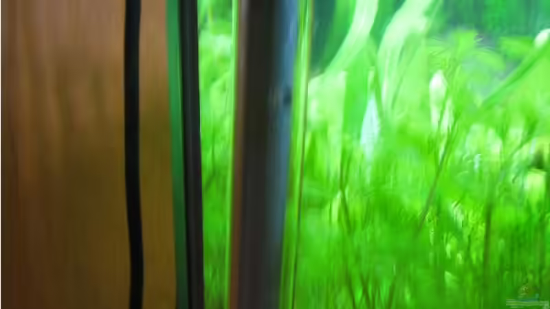 Der Heizstab von Frank Förster (10)