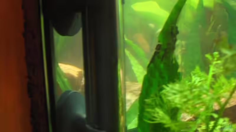 der Heizstab von julchen (8)