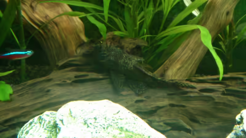 Der Herr des Hauses wenn die Dame pennt ^^ von Stephan Groß (36)