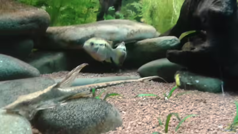 Der Herr und die Dame von Kai Heermann (24)