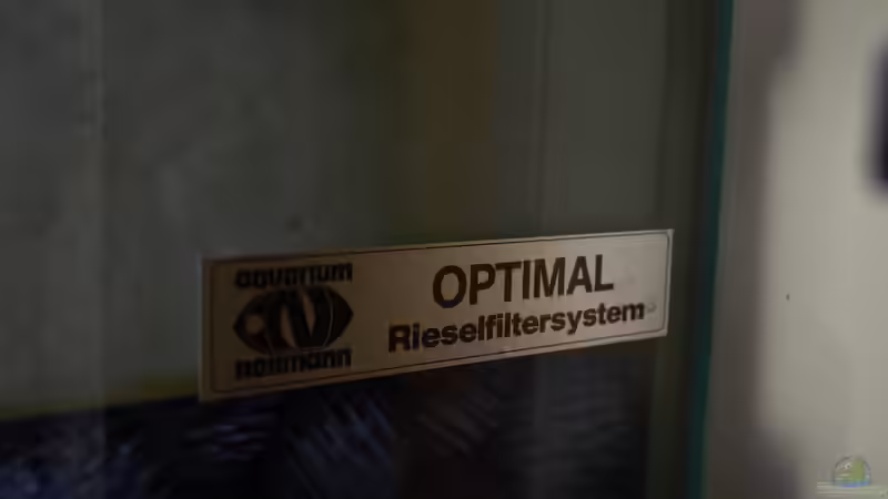 Der Hesteller des Beckens und des Filtersystems von Enrico Friedrich (16)