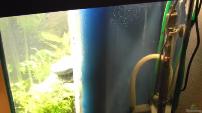 Der HMF von Molle (3)