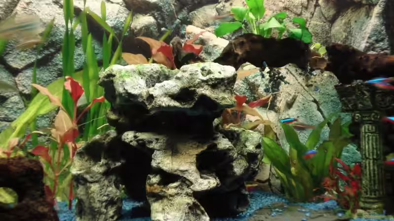 Der Höhlenstein in der Mitte von Fischeblog (5)