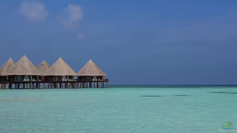 Der Indische Ozean: Seine Bedeutung für die Meerwasseraquaristik