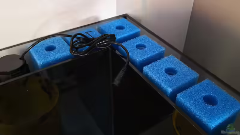 Der Innenfilter, ein Patronenfilter betrieben mit einer Aqua Medic 3 Pumpe, welche von Florian Bandhauer (56)