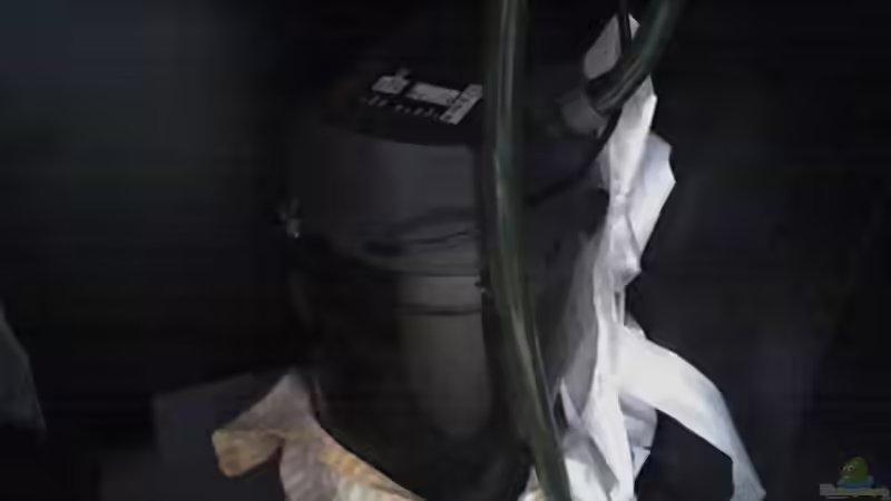 der is alt und laut von Marius Grzesko (4)