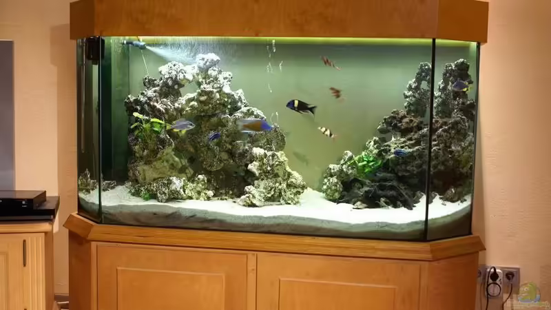 Der ist zusand des beckens