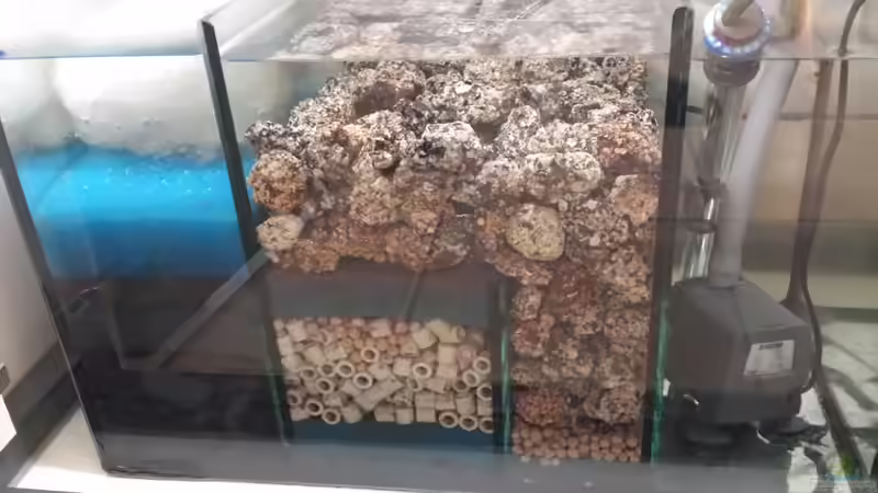 Der Jägerheizer in der 4. Kammer war nur kurz tätig nach Wasserwechsel für das von Thomas u. Gabriele P. (40)