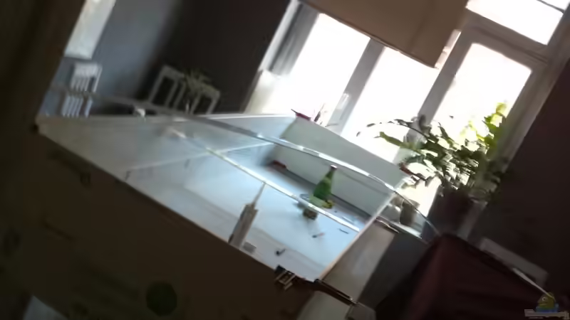 Der Kasten fast fertig  von Dynnarts (5)