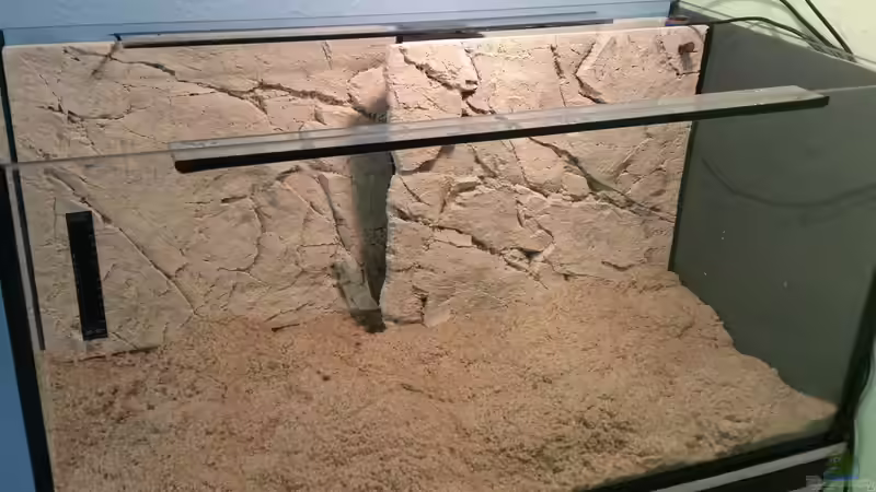 Der Kies kommt ins Becken von baumringzaehler (6)