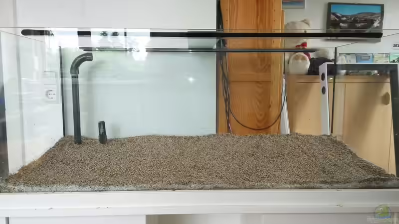 Der Kies von Jonas (Trancemania) (9)