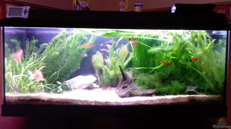 Der Kies wirkt auf dem Foto heller als er ist von Dennis Kubiak