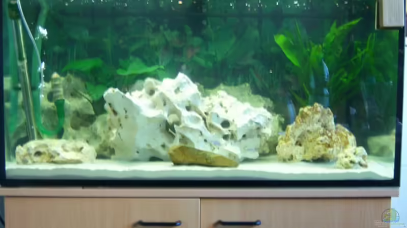 Der Klotz von 47 Malawi (2)