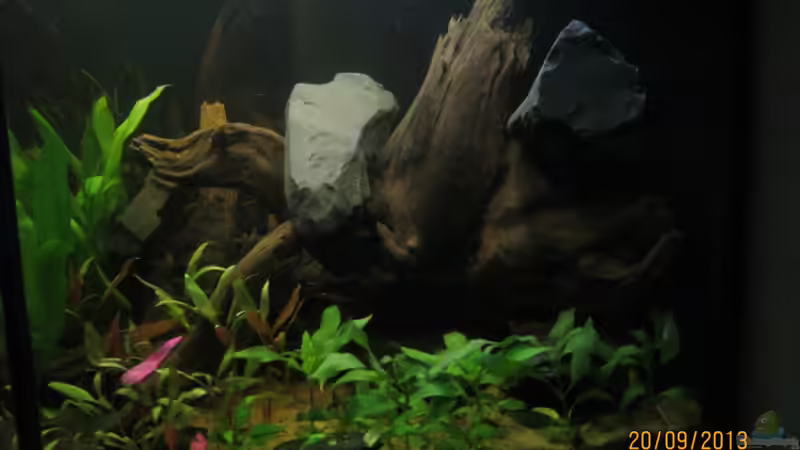 der Kollege zeigt noch aufsteigende Tendenzen von Paul B. (20)