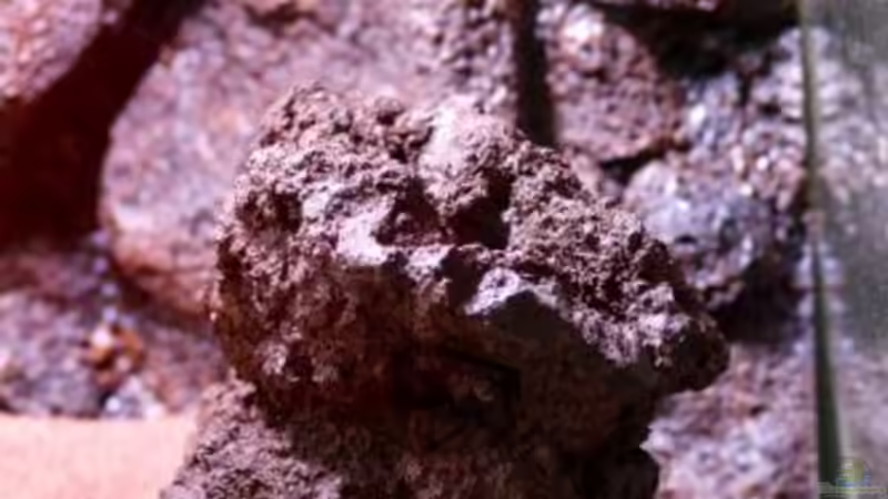 der Lavafindling von Frank Chelaifa (9)