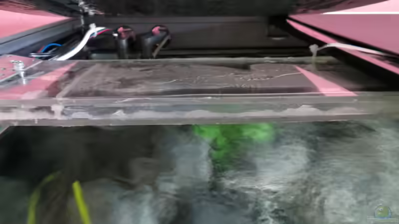 Der LED Plexiglaskoffer im Becken von BastiB (33)