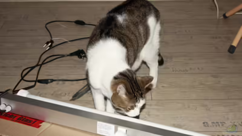 Der Leuchtbalken mit Inspektor von Booth (23)