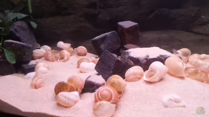 Der linke / mittlere Bereich von Daniel Kastner (9)